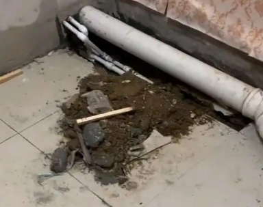 盘锦卫生间漏水检测哪家好
